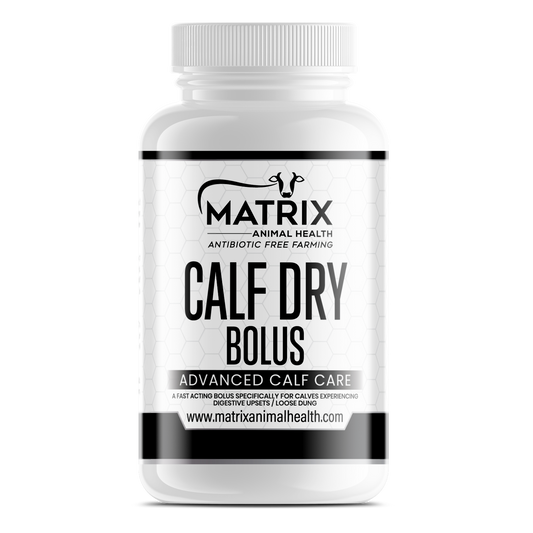Calf Dry Bolus