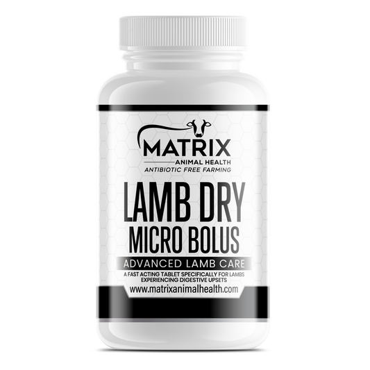 Lamb Dry Micro Bolus