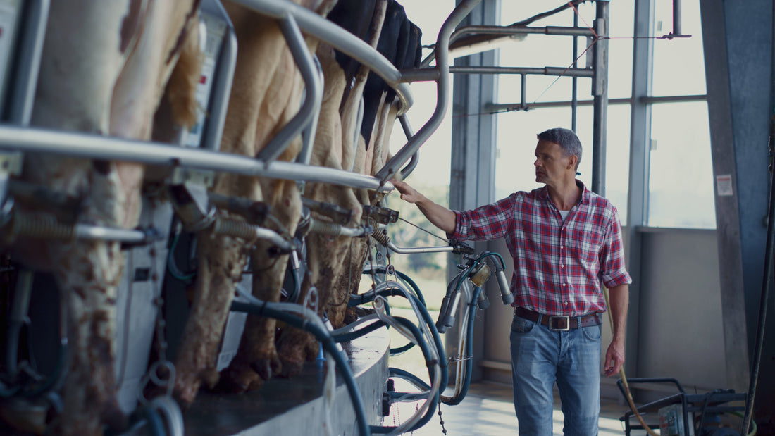 What is Cryptosporidium and Why Should Dairy Farmers Care?