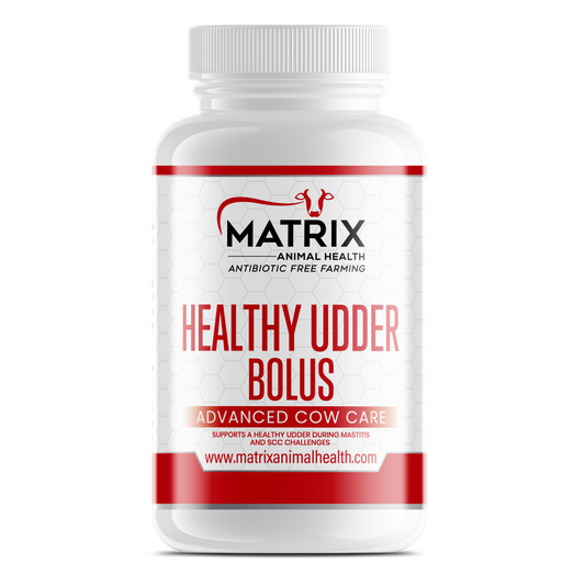 Healthy Udder Bolus