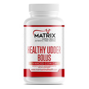 Healthy Udder Bolus