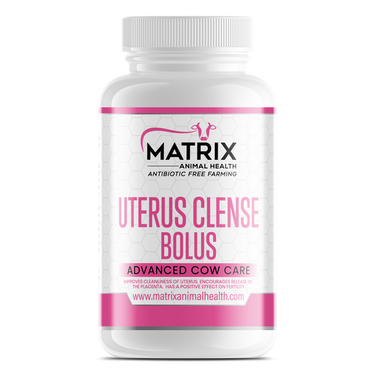 Uterus Cleanse & Retained Placenta Bolus