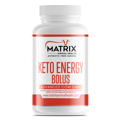 Keto Energy Bolus