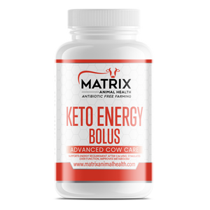 Keto Energy Bolus