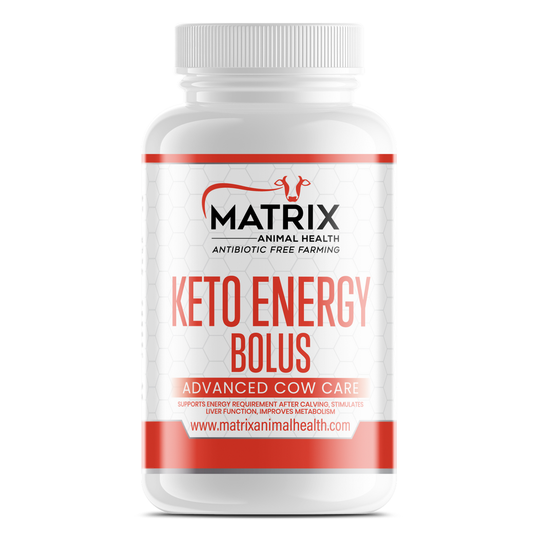 Keto Energy Bolus