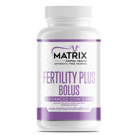 Fertility Plus Bolus