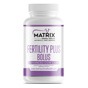 Fertility Plus Bolus