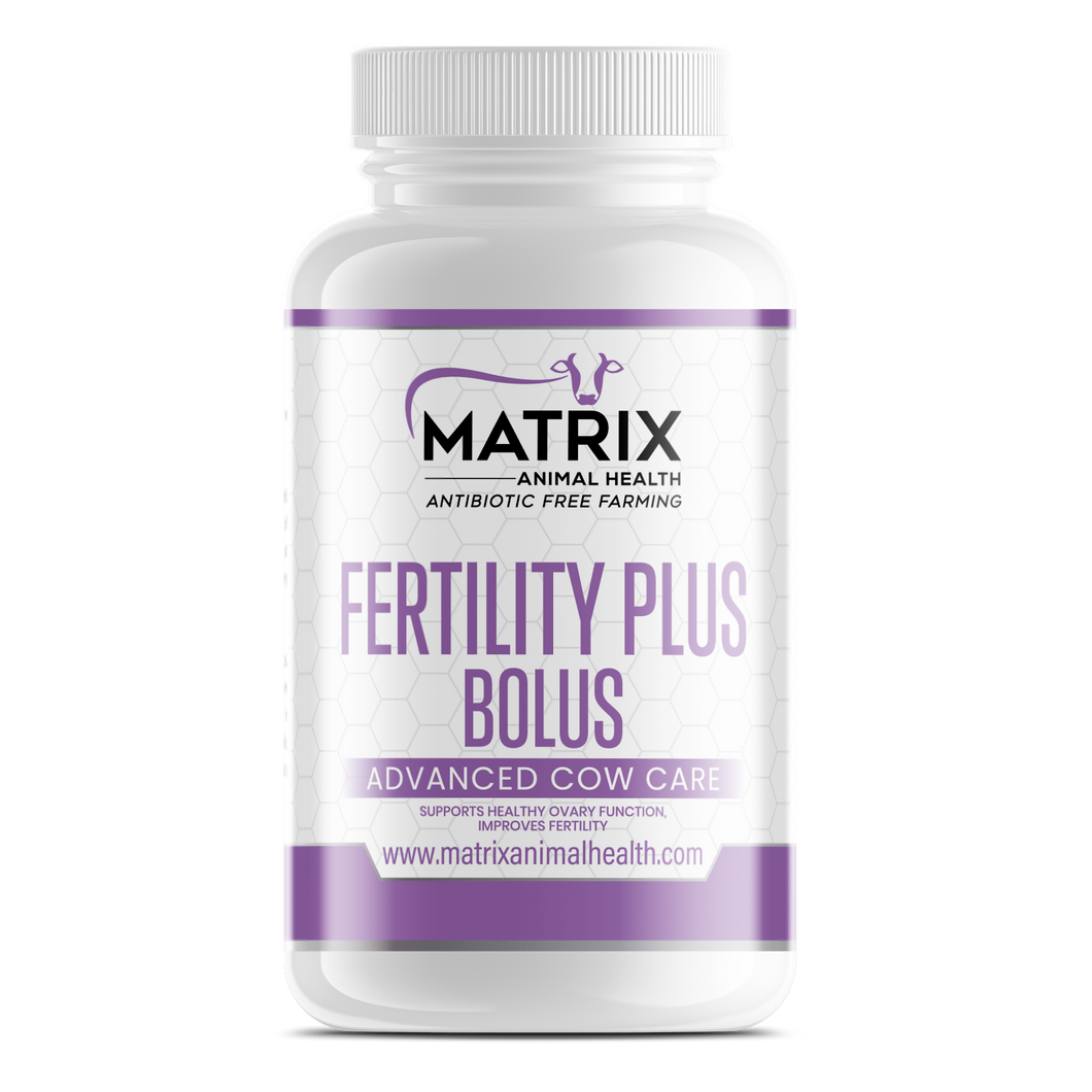 Fertility Plus Bolus