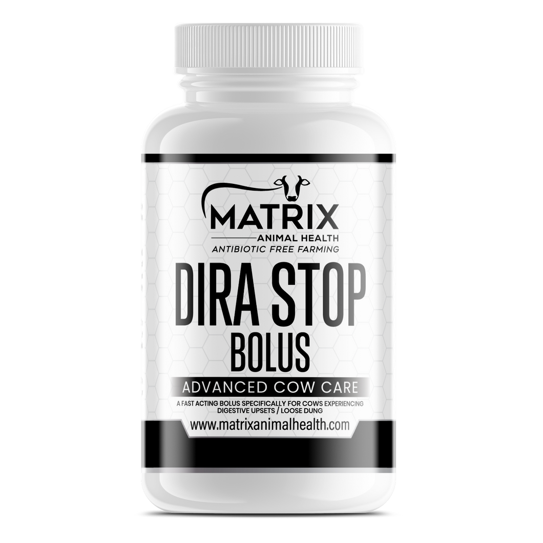 Dira Stop Bolus