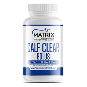 Calf Clear