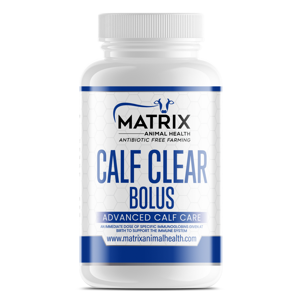 Calf Clear