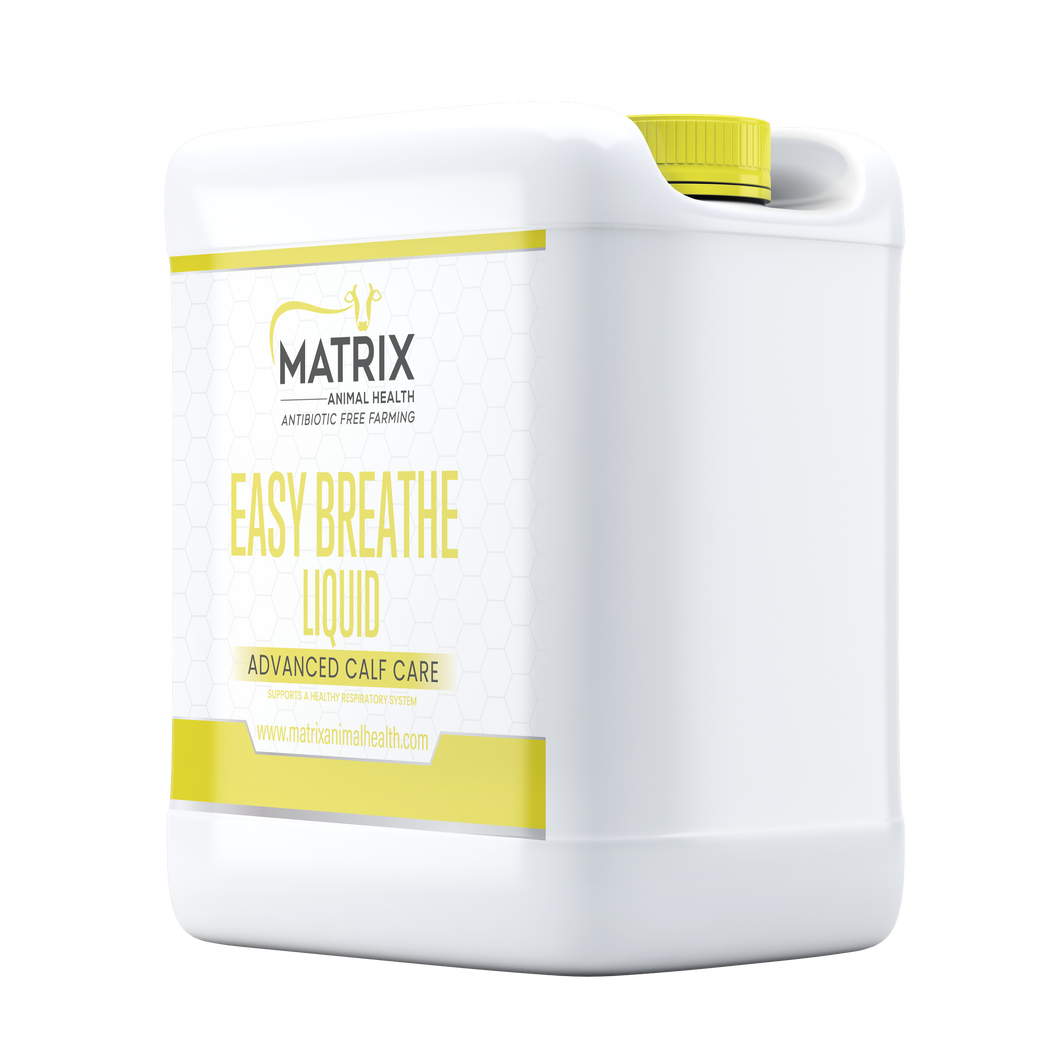 Easy Breathe Liquid