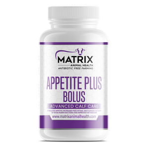 Appetite Plus Bolus