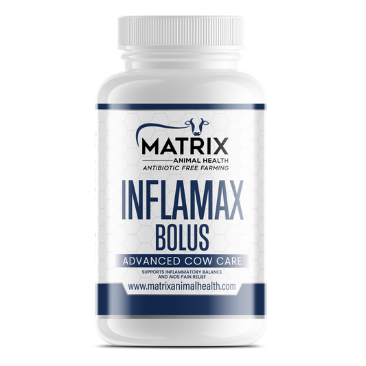 Infla Max Bolus