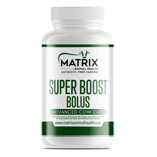 Super Boost Bolus