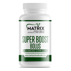 Super Boost Bolus