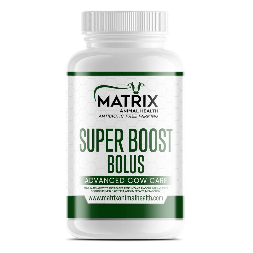 Super Boost Bolus