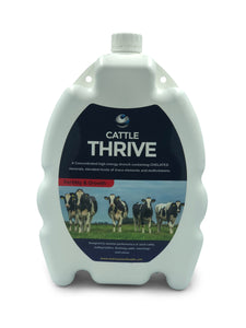 Cattle Thrive