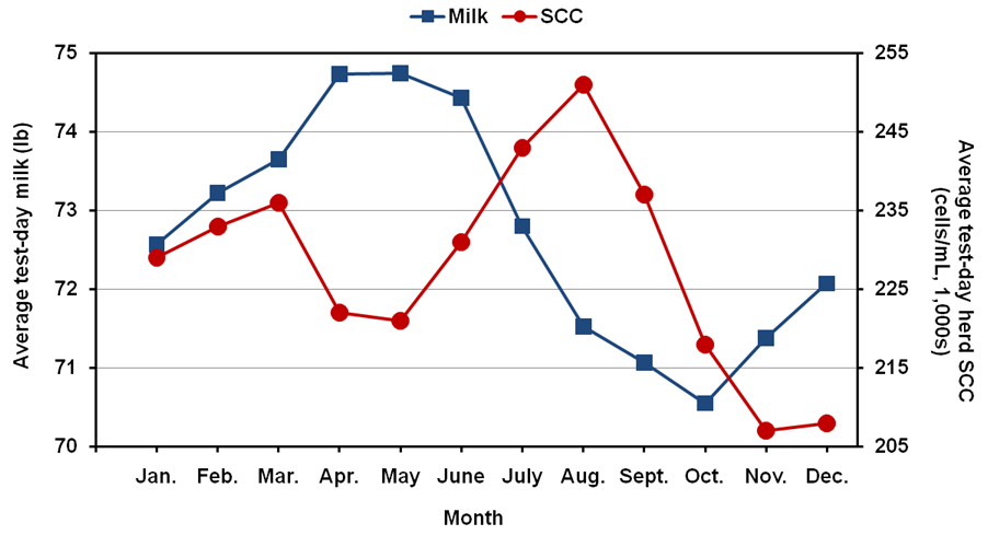 Healthy Udder Bolus - matrix-animal-health