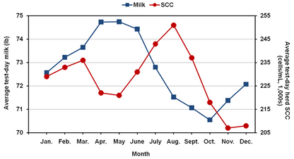 Healthy Udder Bolus - matrix-animal-health